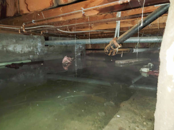 Reliable Belterra, TX Water damage restoration Solutions