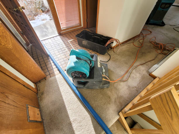 Best Emergency water damage restoration  in Belterra, TX