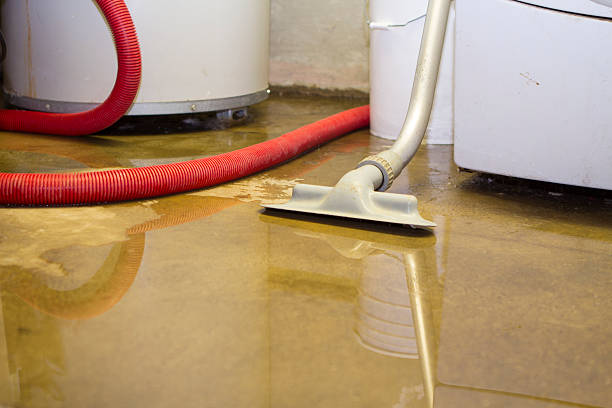 Best Mold removal after water damage  in Belterra, TX