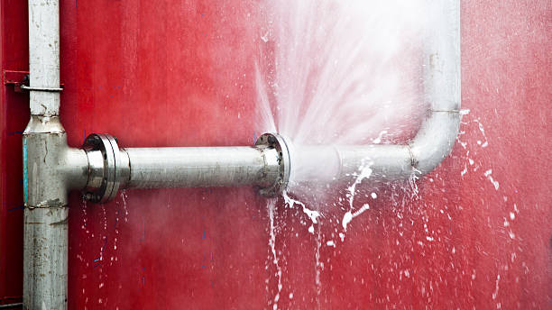 Best Flood restoration services  in Belterra, TX