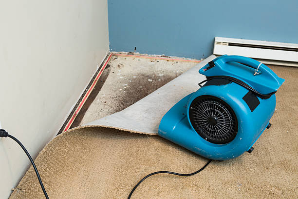 Best Fire Damage Restoration  in Belterra, TX